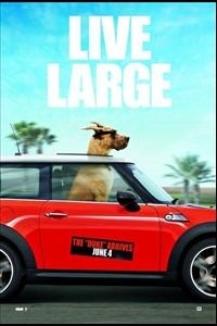 Marmaduke Movie Poster 2010