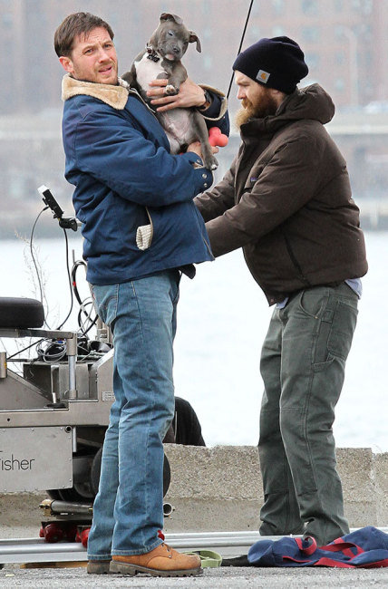 Tom Hardy, His Puppy, and a Bearded Fellow Tom Hardy, His Puppy, and a Bearded Fellow