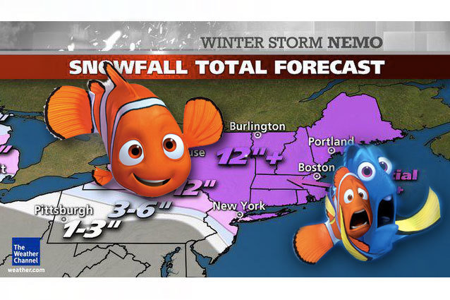 Finding Nemo Winter Storm Image