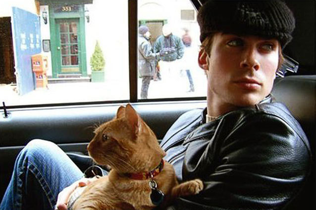 Ian Somerhalder and His Cat in a Car