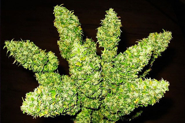 A bouquet of weed from Rihanna's Instagram account