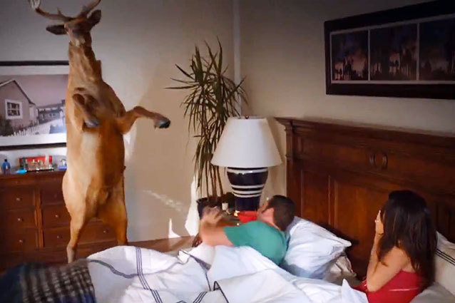 Grown Ups 2 - Buck Grown Ups 2 - Buck