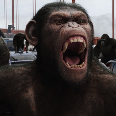Dawn  Planet  Apes on Dawn Of The Planet Of The Apes   An  X Men  Sequel And      Id4 3d