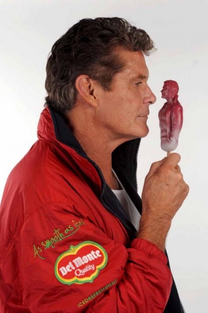 david hasselhoff