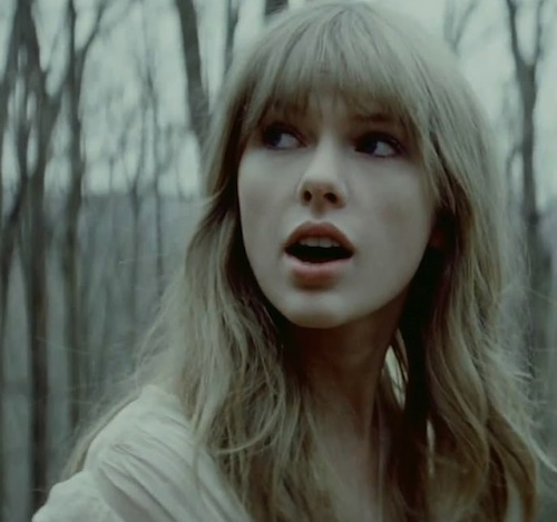 taylor swift hunger games
