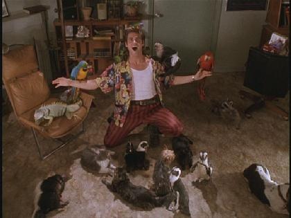 aceventurapets.jpg