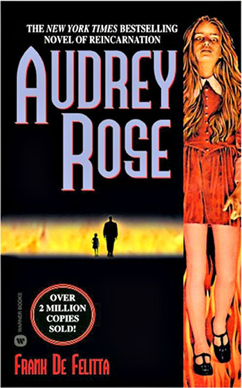 brooke shields book cover