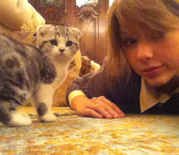 Taylor Swift Cat Meredith