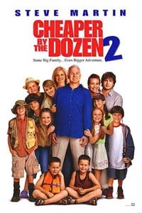 Cheaper by the Dozen 2
