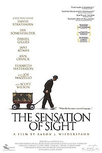 The Sensation of Sight