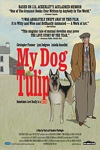 My Dog Tulip