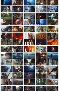 The Tree of Life