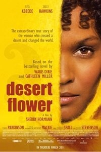 Desert Flower