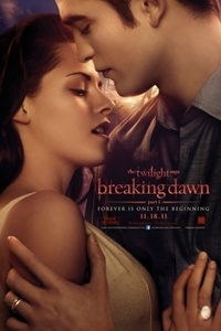 The Twilight Saga: Breaking Dawn - Part 1