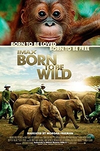 Born to Be Wild