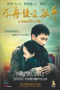 A Beautiful Life